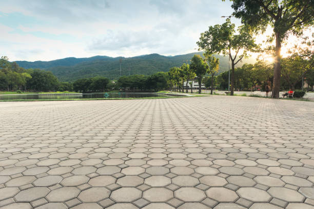 Best Driveway Paving Contractor  in Orofino, ID
