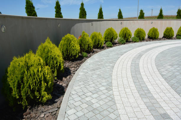 Best Driveway Paving Contractor  in Orofino, ID
